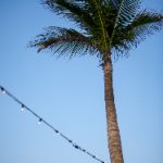 雷火剑OVA番剧:探索剑与魔法的奇幻冒险之旅 awbtcxcq3