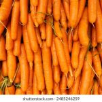 雷火剑作品 漫画:探索雷火剑的奇幻世界与角色魅力 clcji9r62