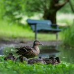 雷火剑官网地址:获取最新游戏资讯与下载链接的最佳途径 d7d3rhjz