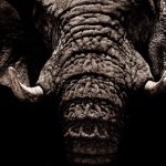 雨花阁:探索漫画世界的奇幻之旅 pfv4f3m6