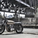 金银花露的小说全集:探寻心灵深处的故事与情感 rnmc5qe9