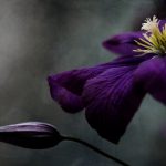 雷火剑动画片在线观看:畅享热血冒险,领略剑道传奇之旅 tqyxqn1