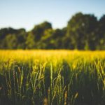 雷火剑动漫官网:探索精彩漫画世界的最佳平台 za15yt